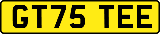GT75TEE