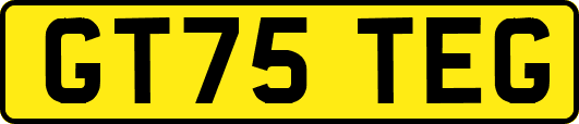 GT75TEG