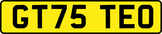 GT75TEO