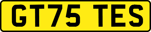 GT75TES