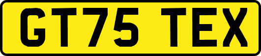GT75TEX
