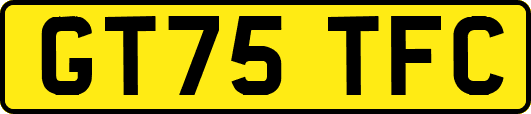 GT75TFC