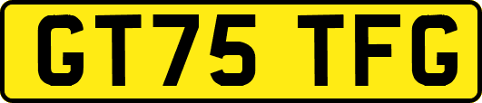 GT75TFG