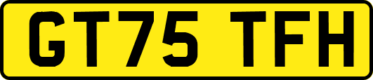 GT75TFH