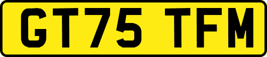 GT75TFM