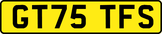 GT75TFS