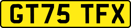 GT75TFX