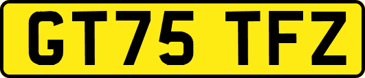 GT75TFZ