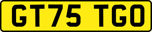 GT75TGO