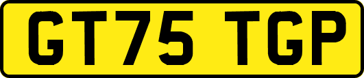 GT75TGP