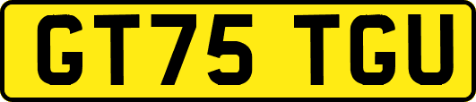 GT75TGU