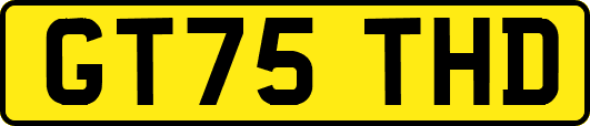 GT75THD