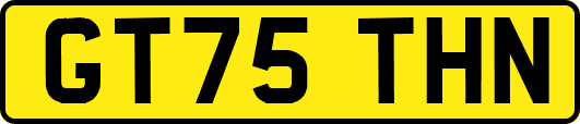 GT75THN