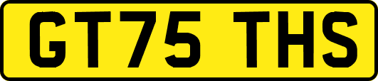 GT75THS