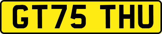 GT75THU