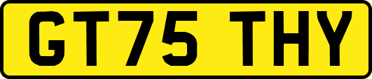 GT75THY