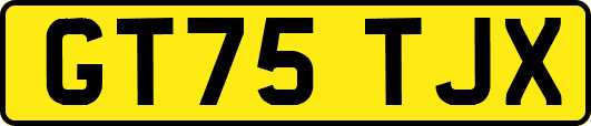 GT75TJX