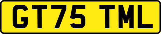 GT75TML