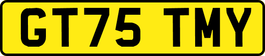 GT75TMY