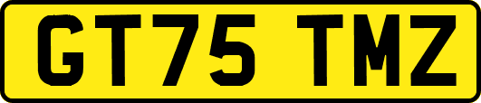 GT75TMZ
