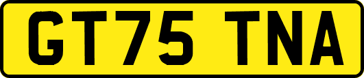 GT75TNA