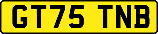 GT75TNB