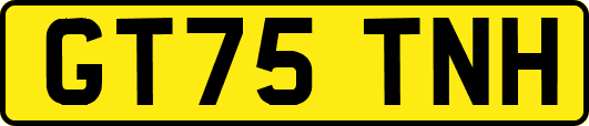 GT75TNH