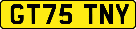 GT75TNY