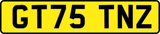 GT75TNZ