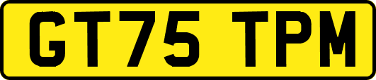 GT75TPM