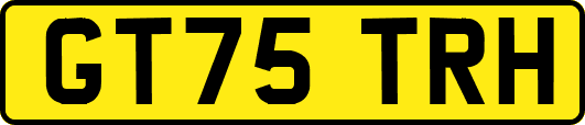 GT75TRH