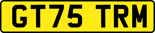 GT75TRM