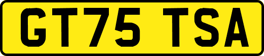 GT75TSA
