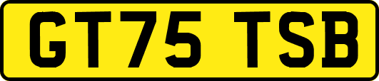 GT75TSB