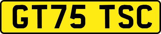 GT75TSC