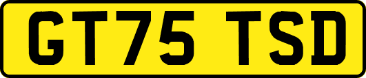 GT75TSD