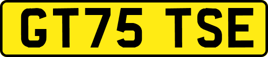 GT75TSE