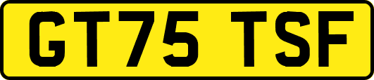 GT75TSF