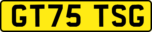GT75TSG