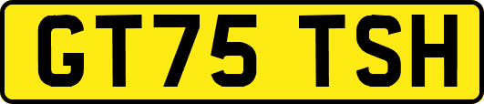 GT75TSH