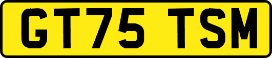 GT75TSM