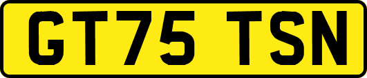 GT75TSN