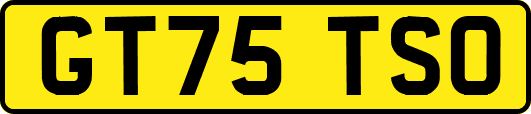 GT75TSO
