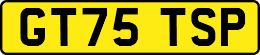 GT75TSP