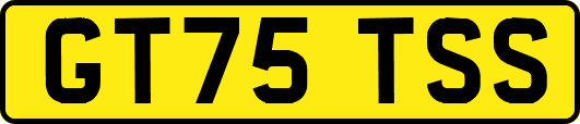 GT75TSS