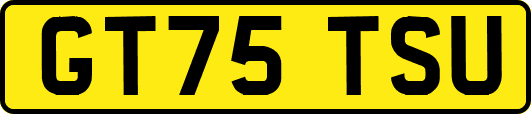 GT75TSU