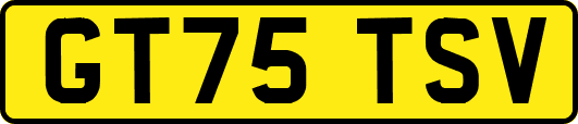 GT75TSV