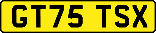 GT75TSX