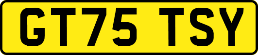 GT75TSY
