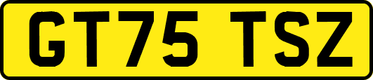GT75TSZ